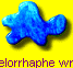 Acoelorrhaphe wrightii