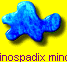 Linospadix minor